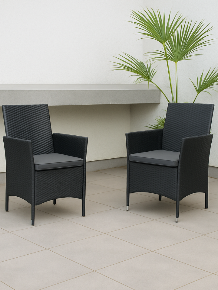 Zion Black Rattan Outdoor Chairs 2pcs