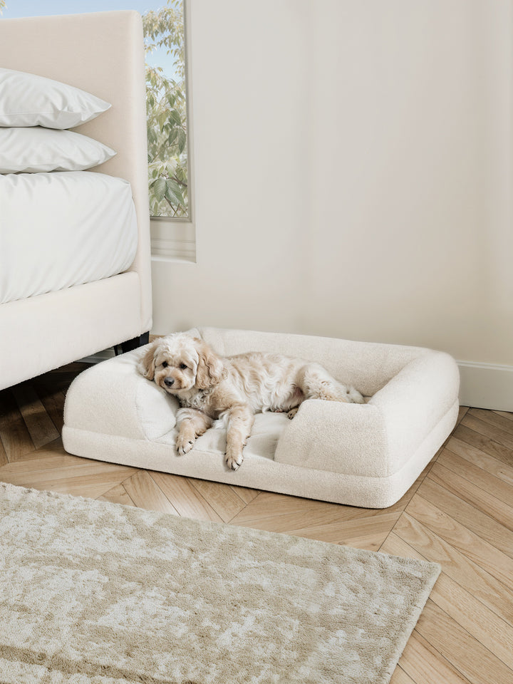 Tori Washable Cloud Boucle Large Pet Bed